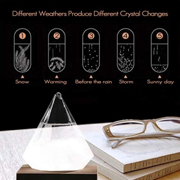 Weather Storm Glass Bottle Stylish Weather Forecaster