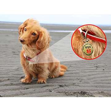DOUBLE SIDED Small Breed Emotional Support Animal ESA Tag Red Medical Alert Symbol and Protected by Federal Law .999 inch ID Tag. Easily switch between collars harness and vest.