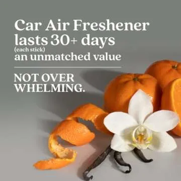 Enviroscent Non-Toxic Car Air Freshener (Black Vanilla & Mandarin) Natural Car Air Freshener | Essen...