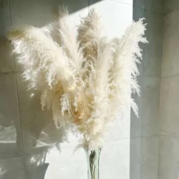 55" inch 5 Extra Tall Premium Natural Pampas, Pampas Grass Decor Tall, Wedding, Party, Boho, Office or Modern Decor, Large and Feathery, Perfect Tall Pampas Grass for Floor Vase.