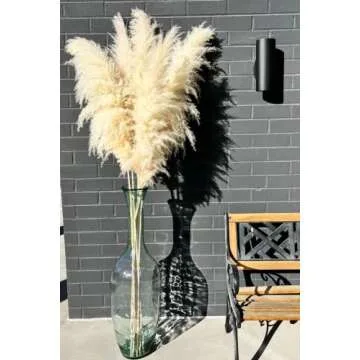 55" inch 5 Extra Tall Premium Natural Pampas, Pampas Grass Decor Tall, Wedding, Party, Boho, Office or Modern Decor, Large and Feathery, Perfect Tall Pampas Grass for Floor Vase.