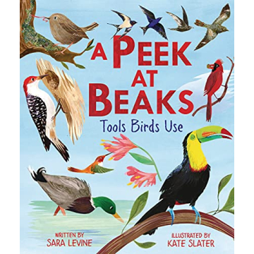 A Peek at Beaks: Tools Birds Use in Nature