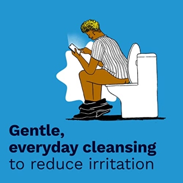 Preparation H Flushable Wipes for Hemorrhoid Relief - Pack of 4