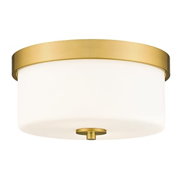 Emak 11 Inch Brushed Gold Flush Mount Ceiling Light Fixture, 2-Light Fixtures Ceiling Mount with Mil...
