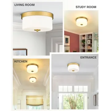 Stylish Emak Flush Mount Ceiling Light for Any Space