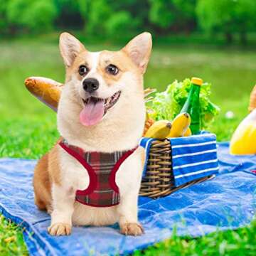 Ringloose No Pull Dog Vest Harness Soft Mesh Comfort