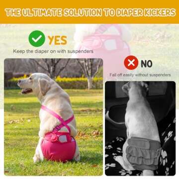 3 Pack Avont Washable Female Dog Diaper with Suspender - Comfortable and Secure Fit for All Sizes