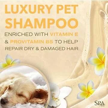 TropiClean SPA Lavish Dog Conditioner | Nourishing Conditioner For Dogs | Naturally Derived Salon Grade Ingredients | Made in the USA | 16oz