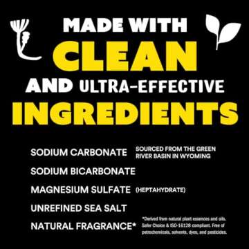 Molly's Suds Original Laundry Detergent Powder | Clean Laundry Detergent Powder for Sensitive Skin | Simple, Effective Ingredients, Stain Fighting | 70 Loads (Peppermint)