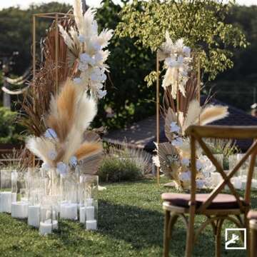 Stylish ZIFTY 6pcs Pampas Grass - Elegant Faux Decor