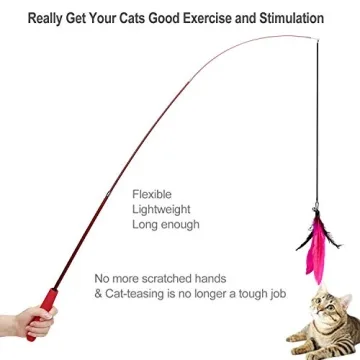 Interactive Cat Wand Toy Set with Colorful Feather Attachments