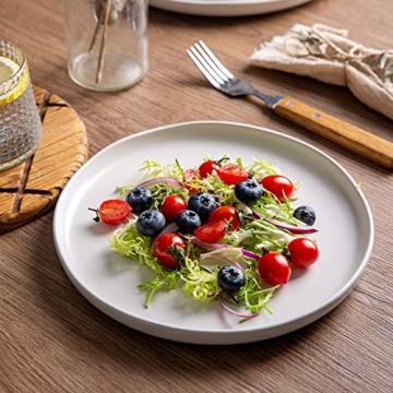 AmorArc Ceramic Dinner Salad Plates Set of 6 - Wavy Design