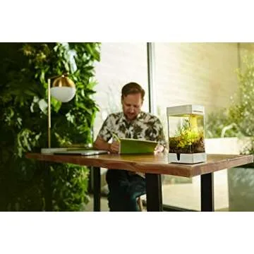 OrchidBox Mini Smart LED Terrarium for Orchids and Plants