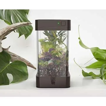 OrchidBox Mini Smart LED Terrarium for Orchids and Plants