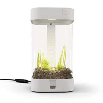 OrchidBox Mini Smart LED Terrarium for Orchids and Plants