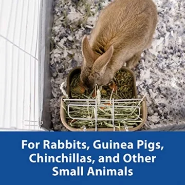 Kaytee Large Combo Bin Feeder for Rabbits and Guinea Pigs