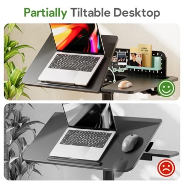 JOY Mobile Standing Desk with Pneumatic Height Adjustment