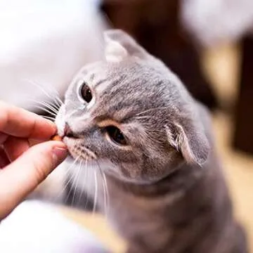 Meowijuana | Crunchie Munchie Bundle | Chicken and Fish Combo Pack | Organic Catnip Center | Grown in The USA | Promotes Cat Health | High Potency Cat Treats | Feline and Cat Lover Approved