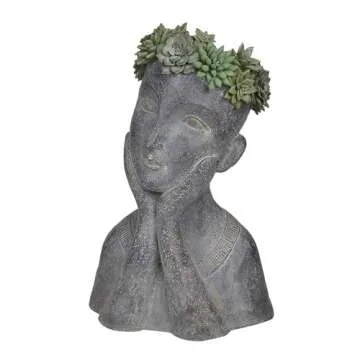 Newman House Studio Face Cactus Succulents Planter Pot - Indoor Outdoor Planter with Drainage Hole G...