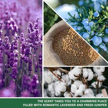 Funny Mother’s Day Candles for Unique Gifting Ideas