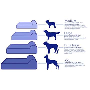 Bully beds Orthopedic Memory Foam Dog Bed - for Aging, Elderly and Arthritic Dogs with Joint and Muscular Problems - Waterproof Dog Beds for Large Dogs - XL, 52 x 34 x 7 Inches - Chocolate