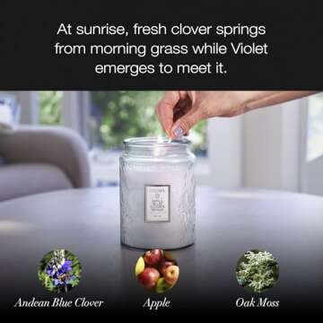 Voluspa Apple Blue Clover, Large Candle Jar, 18 oz, 100 Hour Burn Time, All Natural Wicks and Coconut Wax for Clean Burning, Vegan, Poured in the USA