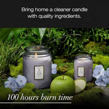 Voluspa Apple Blue Clover, Large Candle Jar, 18 oz, 100 Hour Burn Time, All Natural Wicks and Coconut Wax for Clean Burning, Vegan, Poured in the USA