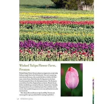 Explore Connecticut Gardens: A Historic Journey Through Nature's Beauty