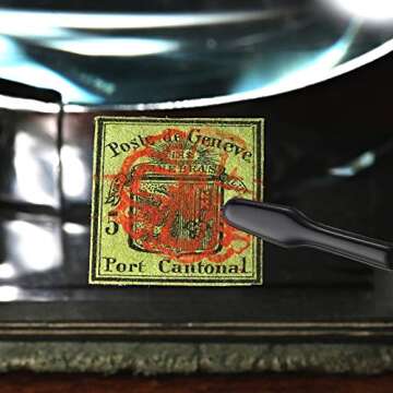 Honoson 2 Pieces Rubber Tipped Tweezers PVC Rubber Coated Soft Non Marring Flat Tip Lab Industrial Hobby Craft Tweezers Tools Jewelry Coin Stamp Tongs(Black)