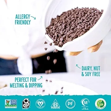 Enjoy Life Semi-Sweet Mini Chocolate Chips 10oz