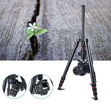 Versatile Ruittos RT1604 Tripod and Monopod for All Cameras