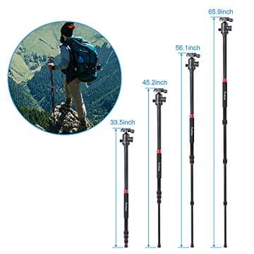 Versatile Ruittos RT1604 Tripod and Monopod for All Cameras