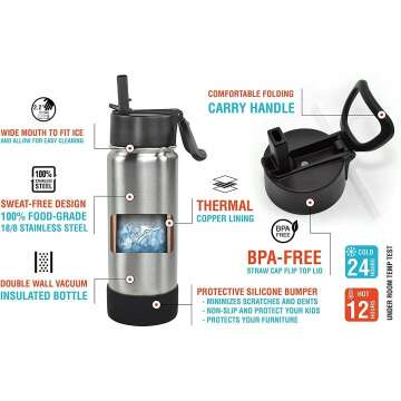 17 oz Insulated Water Bottle with Straw Lid & Stickers