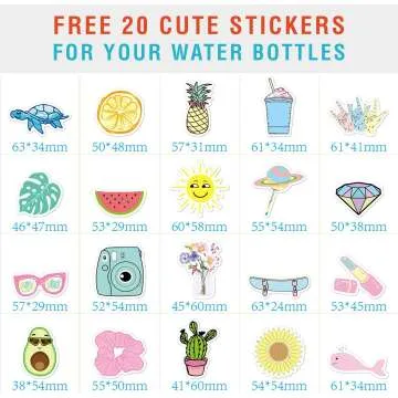 17 oz Insulated Water Bottle with Straw Lid & Stickers