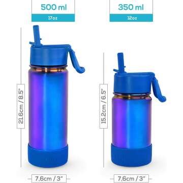 17 oz Insulated Water Bottle with Straw Lid & Stickers