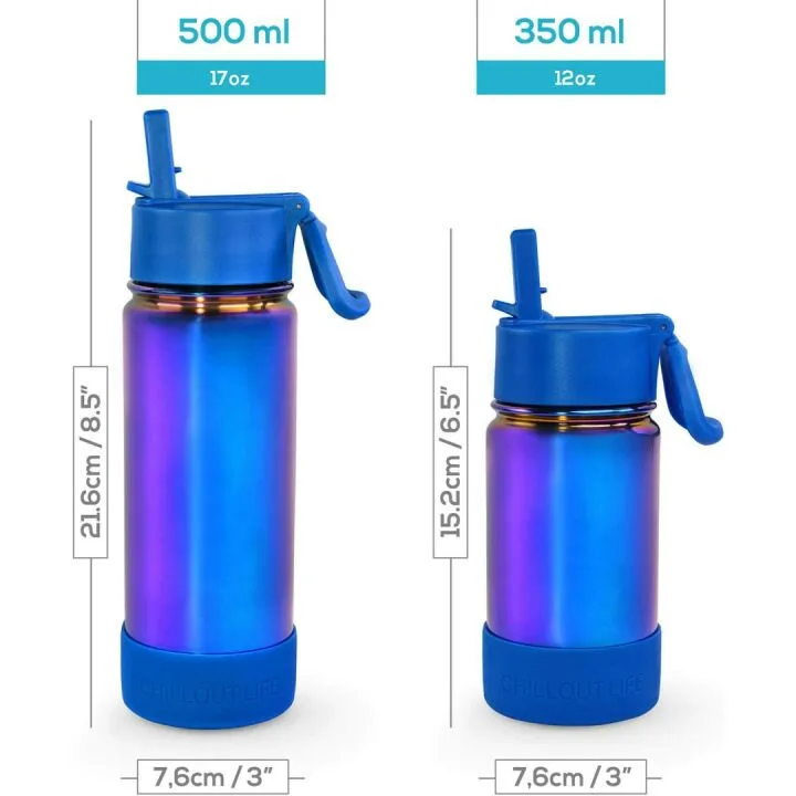 17 oz Insulated Water Bottle with Straw Lid & Stickers