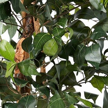 Nearly Natural 6ft. Ficus Silk Tree for Home Decor