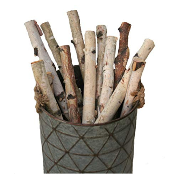 Wilson Decorative White Birch Logs, Natural Bark Wood Home Décor (Set of 12) - 15.5"-17.5" in Length 1"-1.5" Dia.