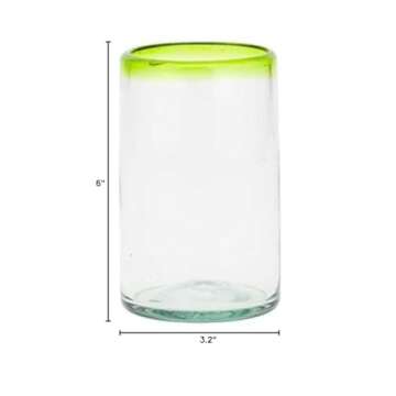 Amici Home Lime Rim Hiball Glass Set of 6 Unique Glassware