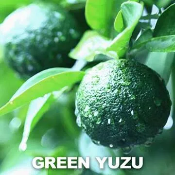 Yuzu Kosho Pepper Paste, Spices and Seasonings, Japanese Seasoning, 3.17Oz(90g)【YAMASAN】