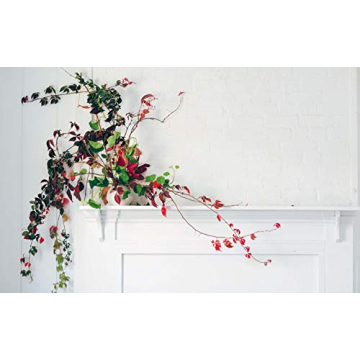 Beautiful Floral Arrangements for Home and Occasions