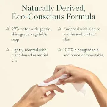 Biom Dispenser + All-Purpose Wipes Starter Kit - Everything Cleaning Wipes | Biodegradable Plant-Based Surface Cleaner for Home & Travel | Kid & Pet Friendly, Natural, Non-Toxic (Sea Foam)