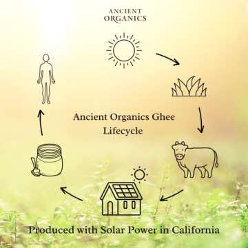 Ancient Organics Ghee, Organic Grass Fed Gluten Free Clarified Ghee Butter with Vitamins & Omegas, Lactose Free, 100% Certified Organic, Kosher, USDA Certified, Made in USA - 16 Fl Oz (Pack of 2)
