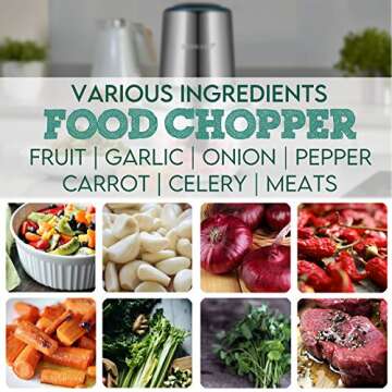 Electric Food Processor,Food Chopper with Garlic Peeler and Titanium Coating Blades, 5 Cup Glass Bowl for Vegetables Fruit Salad Onion Garlic Meat Ice Chopper, Silver