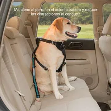 Kurgo Dog Seatbelt Tether – Adjustable & Easy Installation
