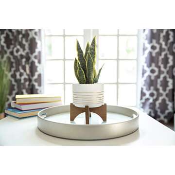 Flora Bunda Mid Century 7 inch White Gold Line Ceramic Planter on Wood Stand,White/Gold Line 7"