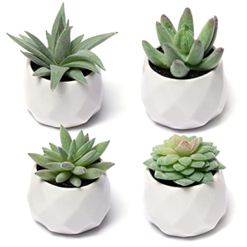 Realistic CADNLY Fake Succulent Plant Set for Home