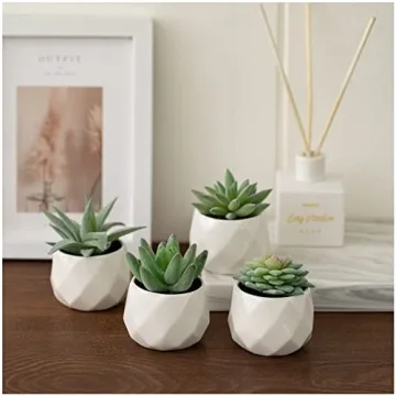 Realistic CADNLY Fake Succulent Plant Set for Home