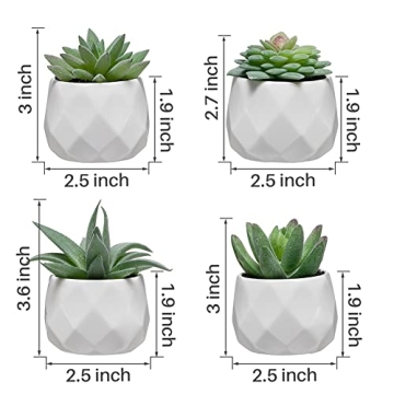 Realistic CADNLY Fake Succulent Plant Set for Home