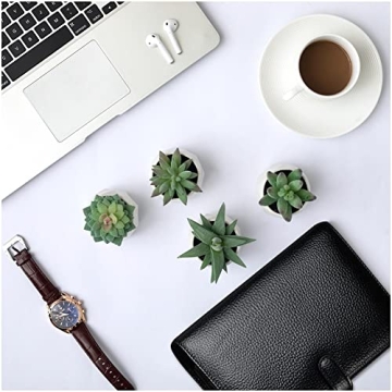 Realistic CADNLY Fake Succulent Plant Set for Home